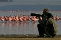 Lake Nakuru National Park contains: 24 photos