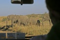 Masai Mara -- what more to really say contains: 69 photos